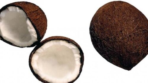 cara buat kopra kelapa