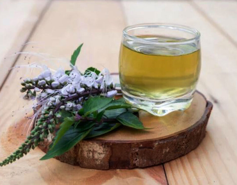 pengolahan ekstrak tanaman herbal