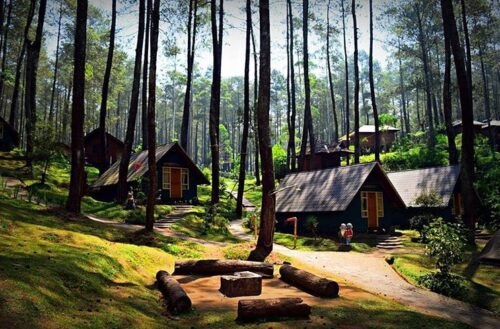 Cara Survei Lokasi Gathering 