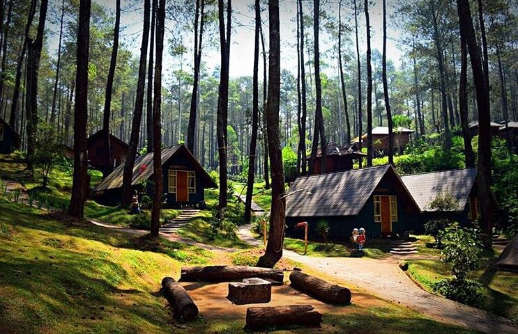 Cara Survei Lokasi Gathering