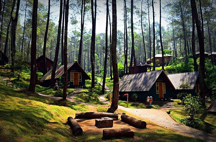 Cara Survei Lokasi Gathering
